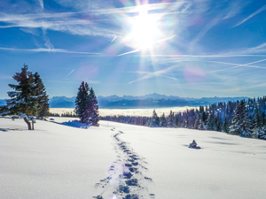 Spuren im Schnee